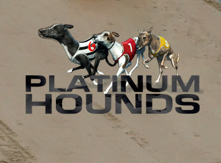Platinum Hounds